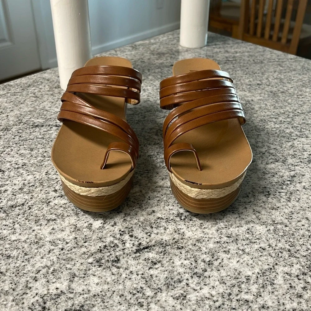 Woman’s Brown Strappy Platform Wedge Size 6 Sandals